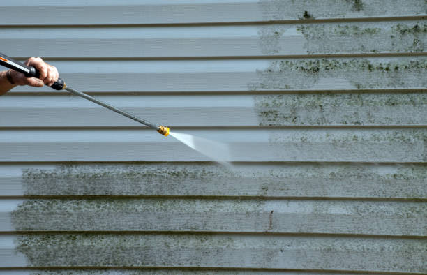 Best Window and Screen Pressure Cleaning in Rosebud, TX